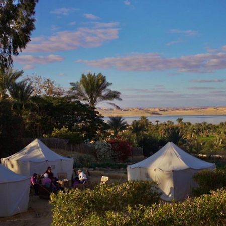 Tunis Village El-Al Fayyūm Esterno foto