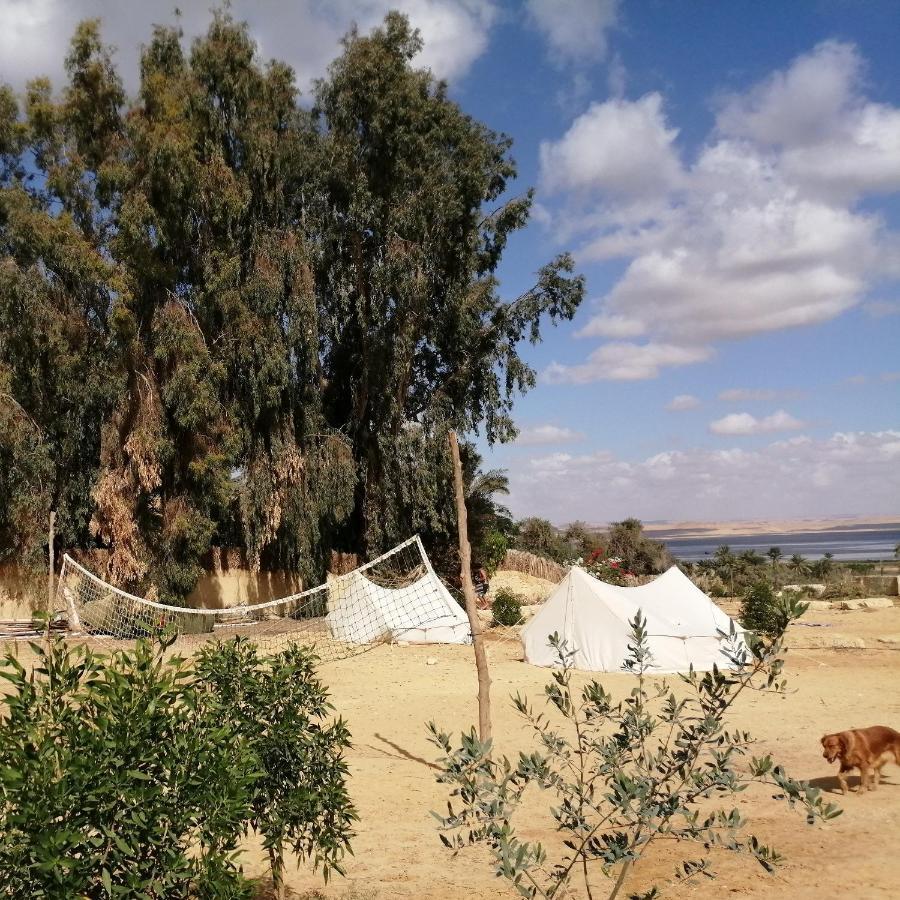 Tunis Village El-Al Fayyūm Camera foto